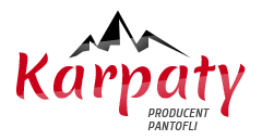 Logo firmy
